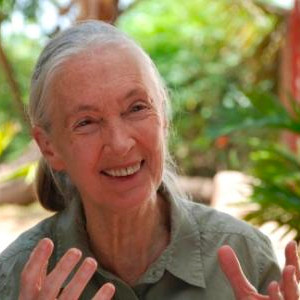Dr Jane Goodall